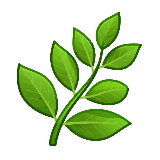 🌿