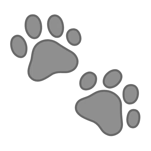 🐾