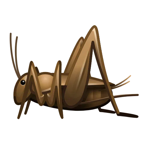 🦗