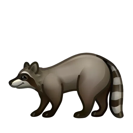 🦝